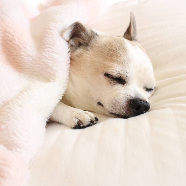 1a1ba79e aa09 4184 abf2 34f5fb319b77 1521637635339