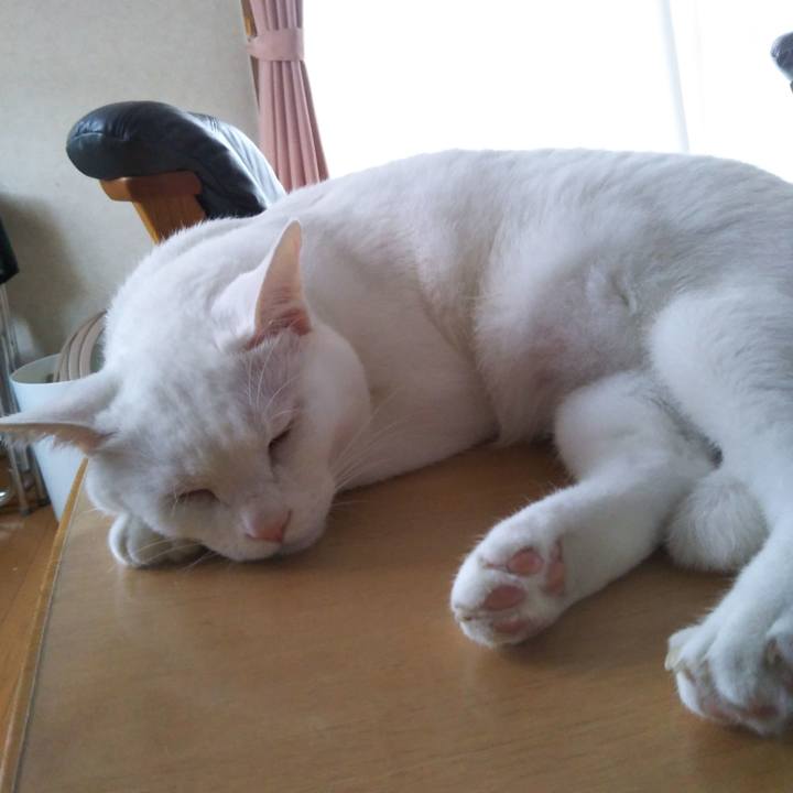 1a1be9ce 7388 4067 bcb8 1a3dae01c5ff 1535783069347