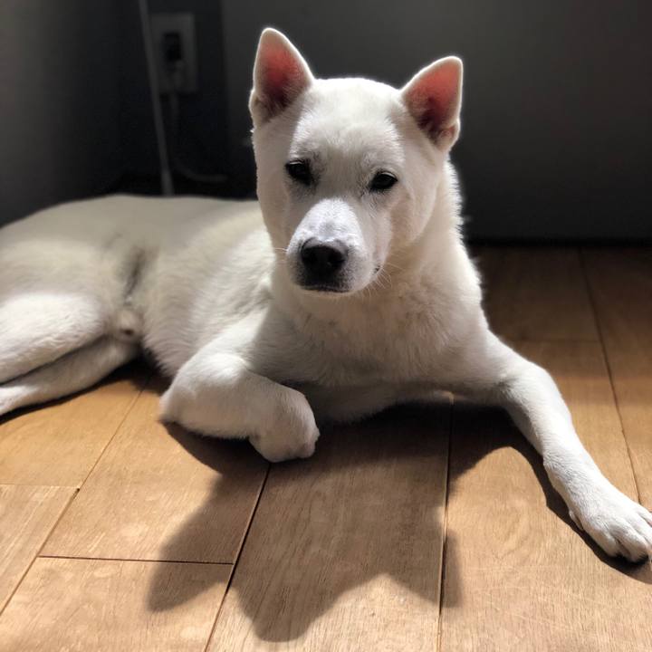 1a1bfc10 48c0 417f bec1 6990191e6fd1 1555893090975