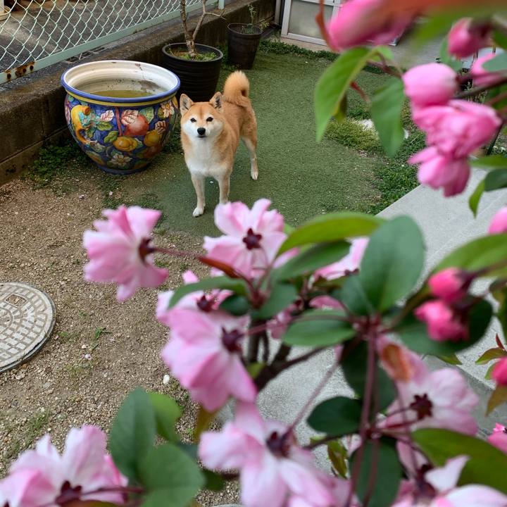 1a1c8919 90fd 472e 8e16 7b5b776f3b48 1586161668548