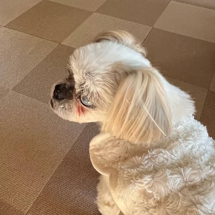 1a1c8bf7 f466 47c7 80ac 4b4e85adbc29 1736560729622