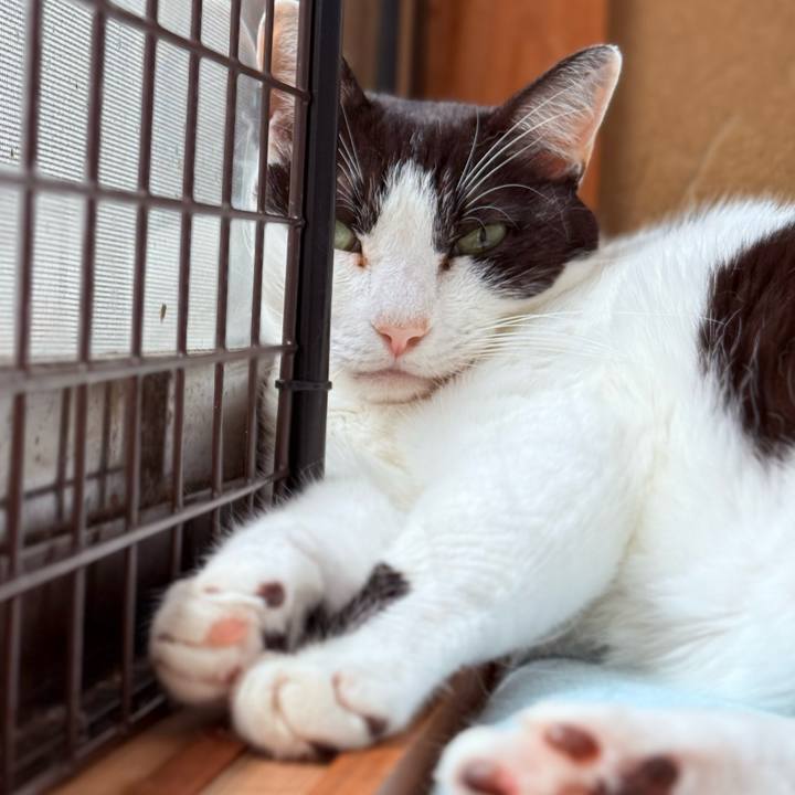 1a1ca24e 7d05 498f a6db 6f3a2bdc83c0 1757209618888