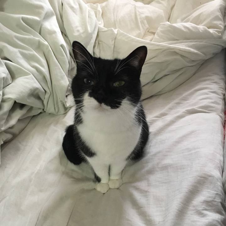 1a1cd9db 0e94 49ff 9cbd 9eace3dd5ef4 1576664814147