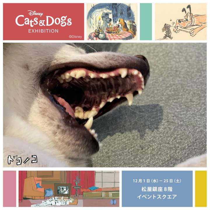 1a1d2291 a7f5 4445 a6f1 c3c35bcc01a7 1638358372247