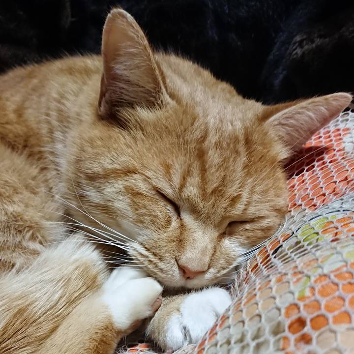 1a1d4fdb 8de3 45e8 a660 e3c3432b6e8f 1608462370274