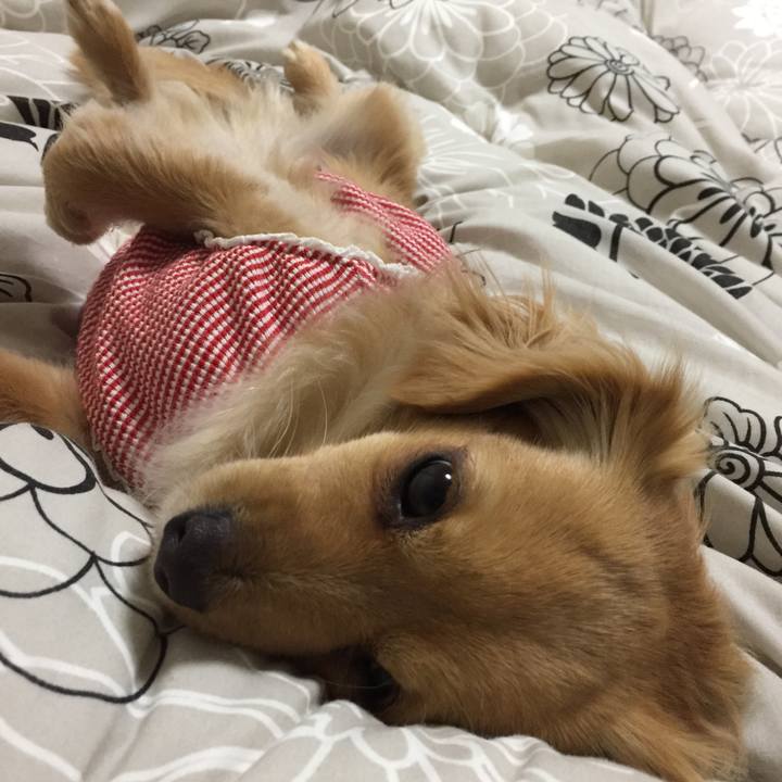 1a1d7587 ca06 468f ad6a 59a7bc0752ff 1551188644974