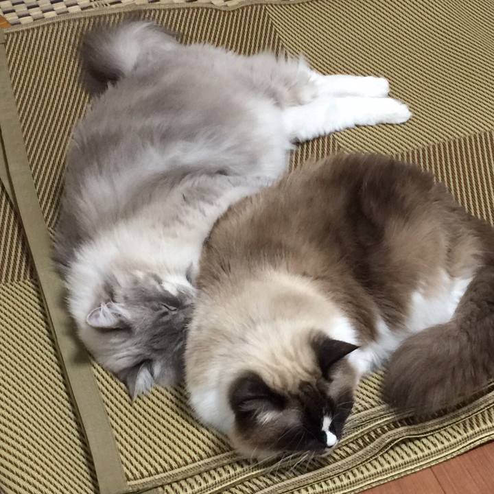 1a1de880 de4f 44e3 bbd5 7e552a907610 1514813507773