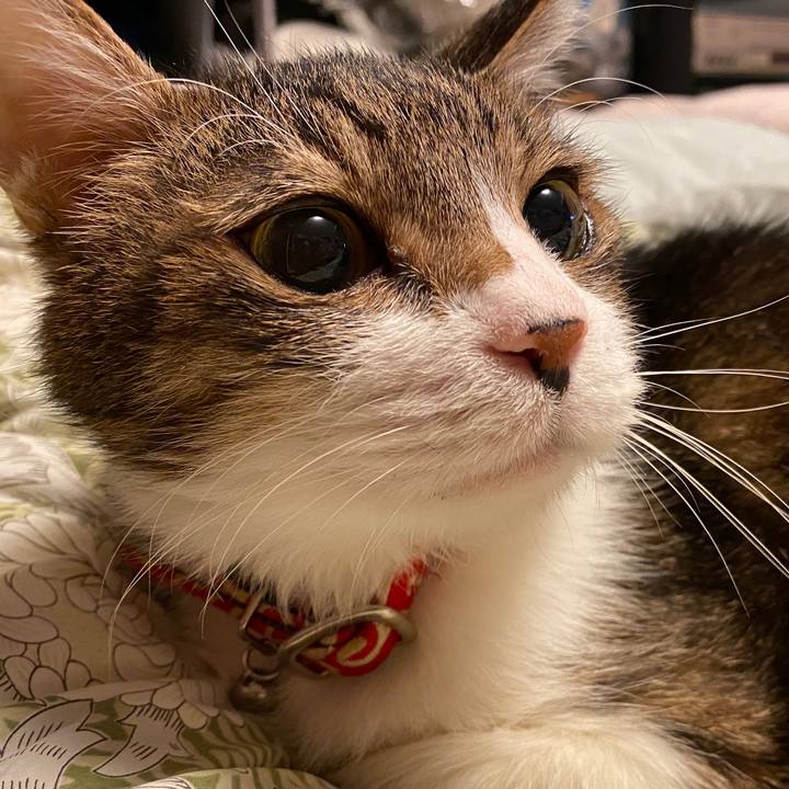 1a1e342c 12ae 4667 bb2f d2964b814f1c 1586866136646