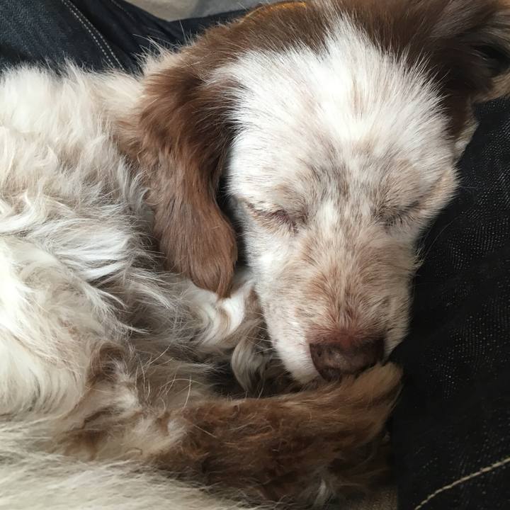 1a1e876d 6bbe 4b94 96ba 50bfc898b88e 1516805434826