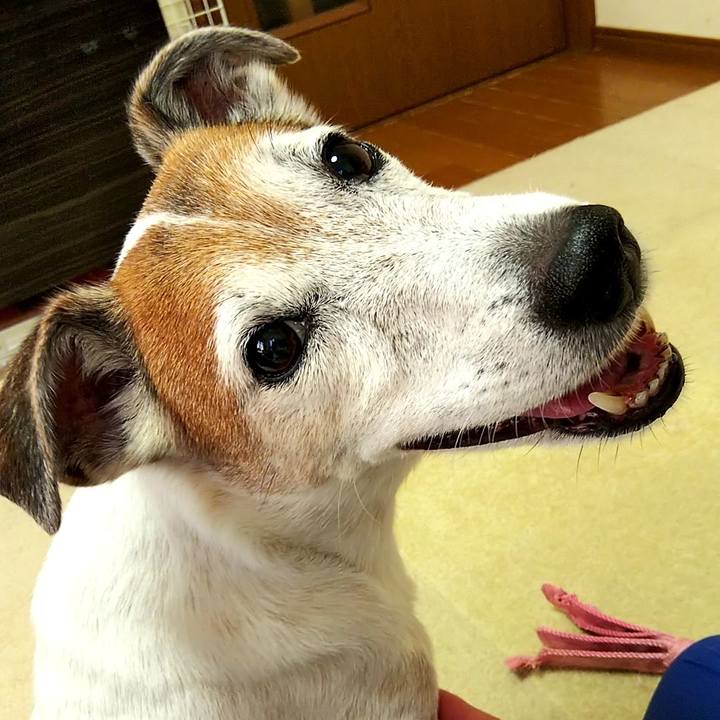 1a1e9e41 0dde 41f7 a59b a013986a6d9d 1535180544013