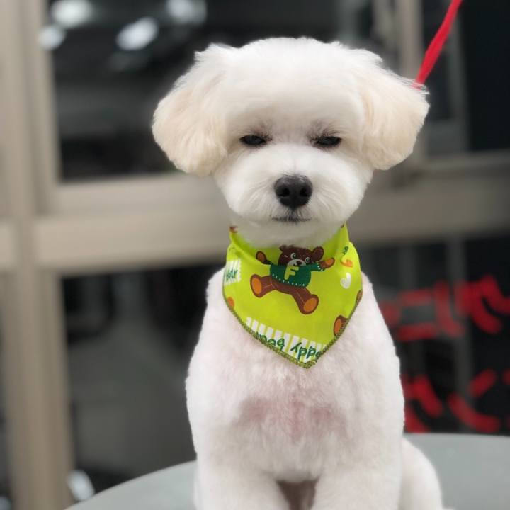 1a1eb63e ef53 422a aa23 c21891745cf1 1569756265007