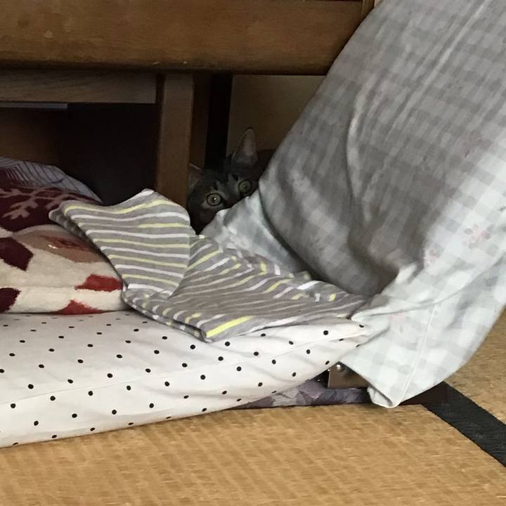 1a1effec 16d0 4ff2 aa0d e212f67d3c72 1597110631235