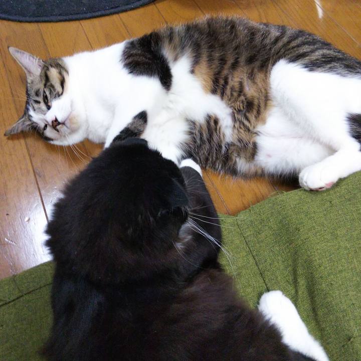 1a1f00b1 2fd5 404d 970c 70c08d742b04 1644462167459