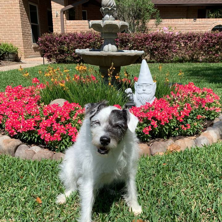 1a1f3239 0330 4cc7 b6f4 a921761e96b0 1648852100700