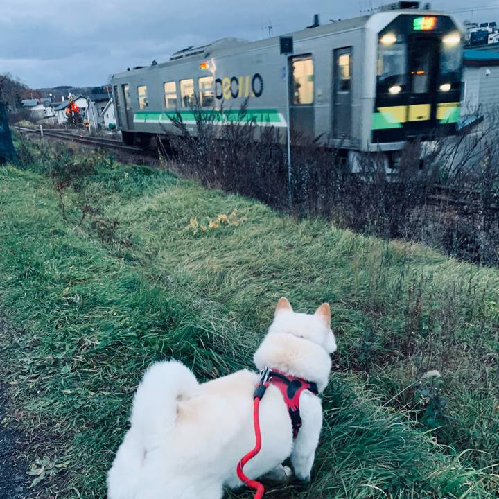 1a1f3f28 0cee 423e 940d 105bd50348f7 1637013421449