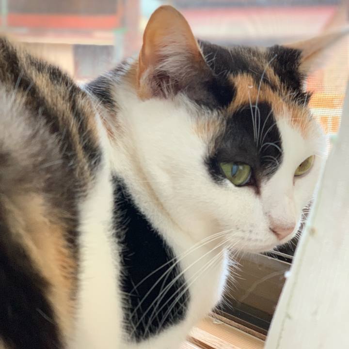 1a1f47a3 5e9d 4cab 8783 41c3e63eebc7 1545272414791