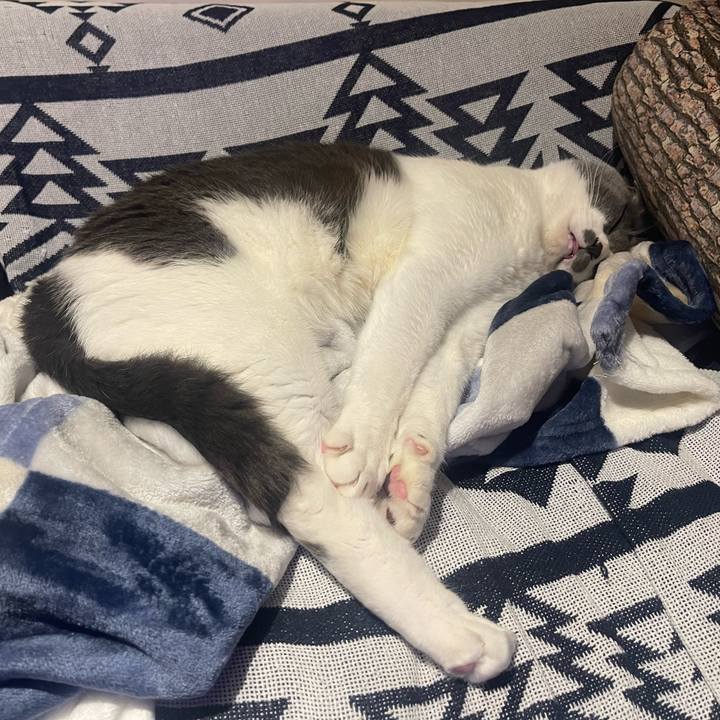 1a1f5742 8fe6 4a8f b152 4095ac39ac23 1677598559391