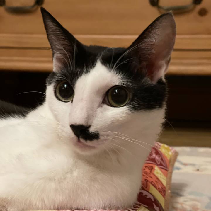 1a1f5e3d e28a 4cb0 a8b7 32bf287658a1 1645457229139