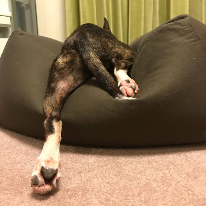 1a1f6bd8 3ed2 44b3 8c74 cab7d76611a9 1524406948502