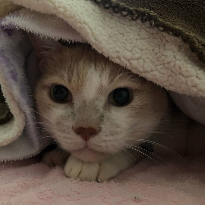 1a1f9ad4 785a 4ff0 bc15 9b1838ba3940 1539249841175