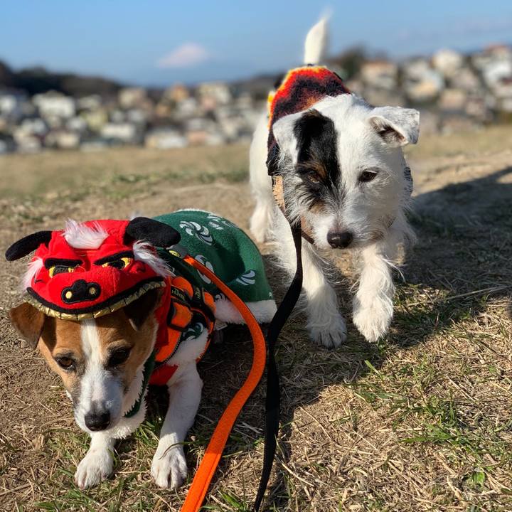 1a1fe5d6 7597 4133 b690 42b37389e787 1546304554380