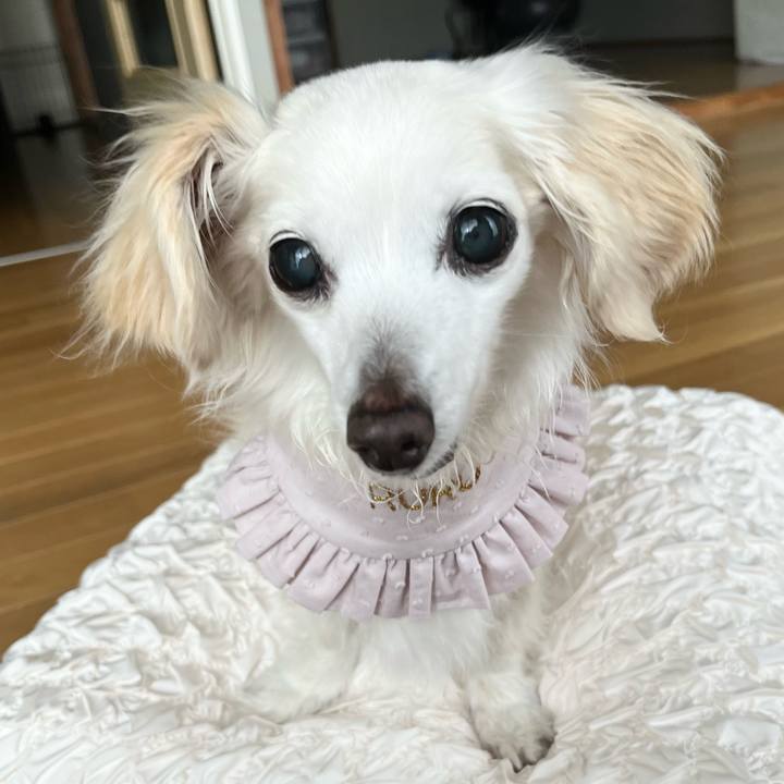 1a1fffd1 a70c 4259 b6a8 806b2398620c 1748930841197