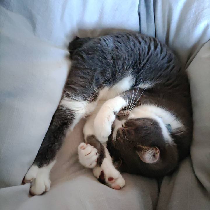 1a2013b5 f915 4392 98f5 1dec68181356 1674005555355