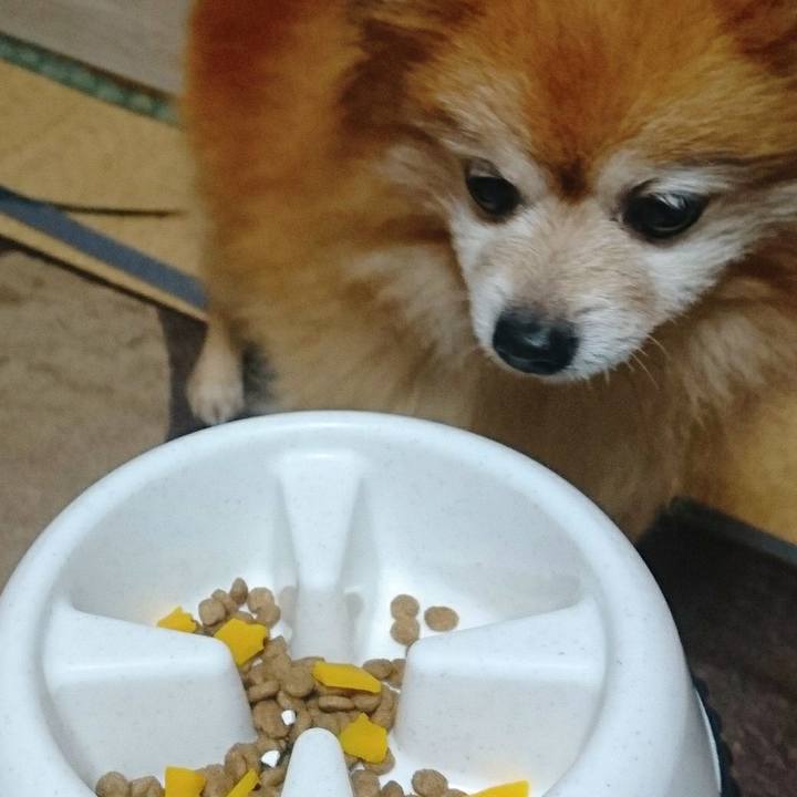 1a201c73 b46c 4bde a1a3 c784f788576b 1549977214995