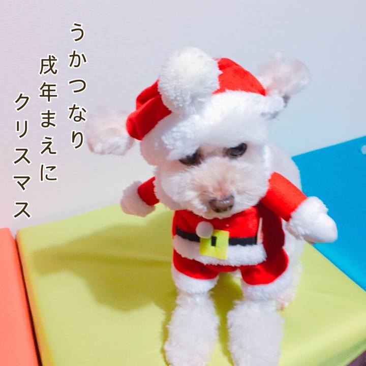 1a201e96 de52 4a2c b130 623a5d94069b 1512088777367