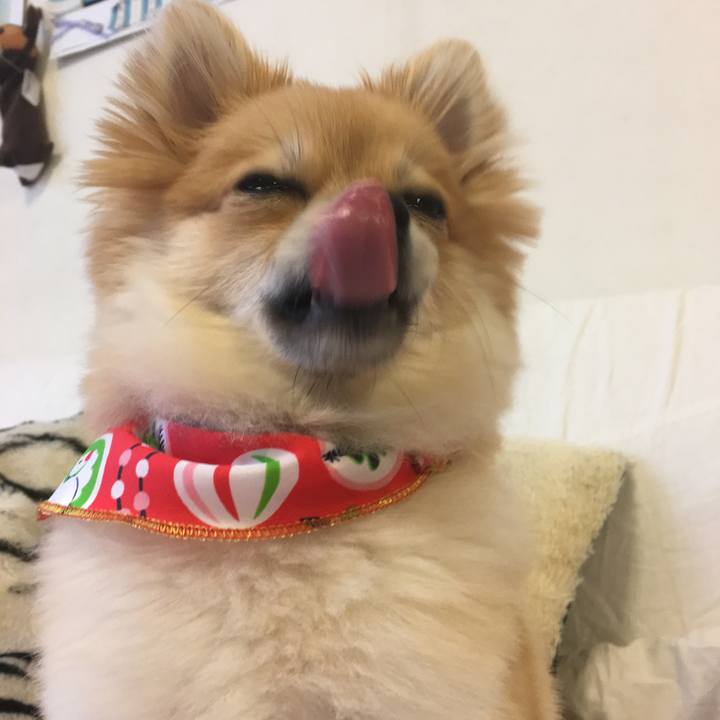 1a20281d da48 434c 9b60 cc026c97213a 1514689272970