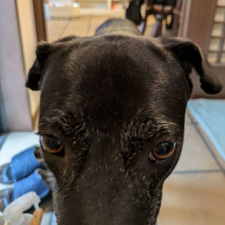 1a2032e7 b6c2 434c a85b 14d4be61835f 1728556483037