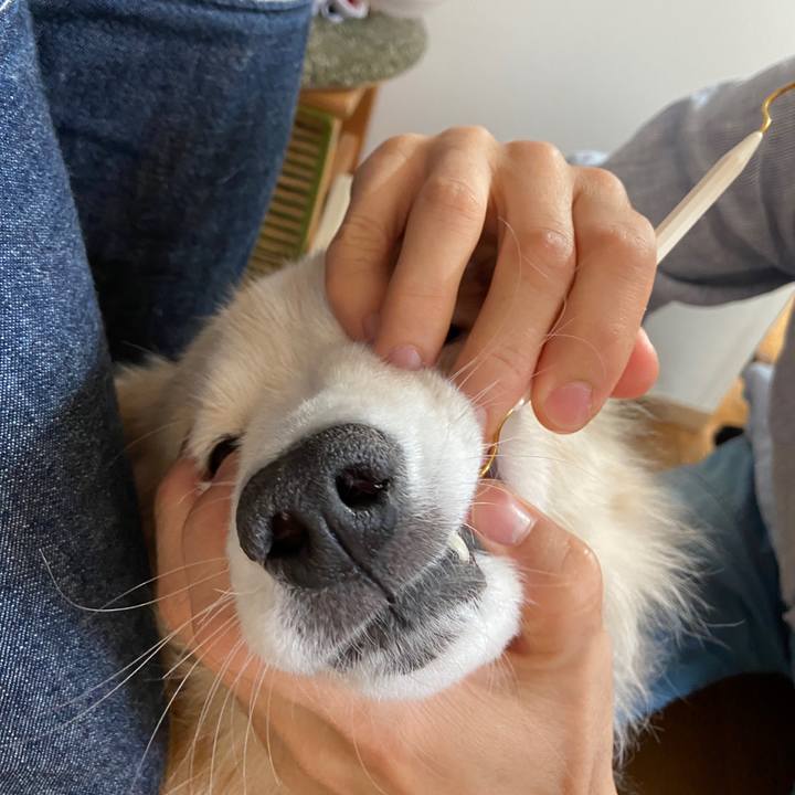 1a2034ad 20c3 4222 af00 d862413cb8ad 1652105148199