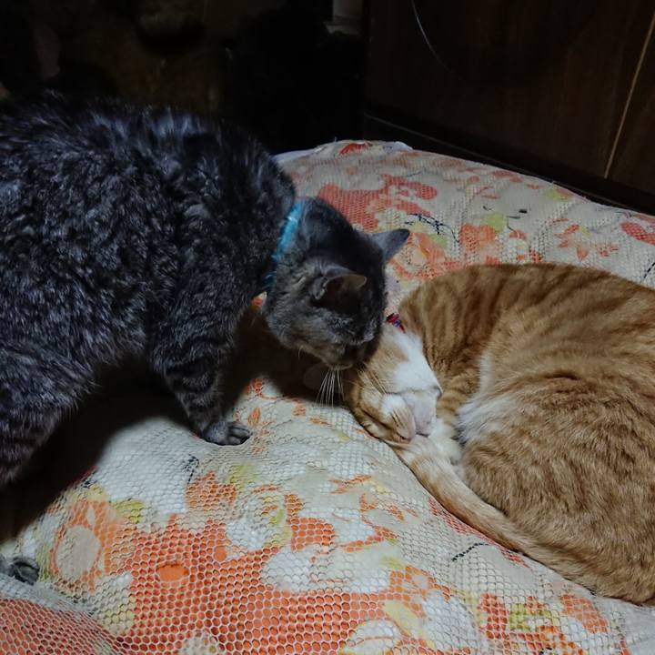 1a204419 f57f 4958 b86a 14d30b868317 1577102707655