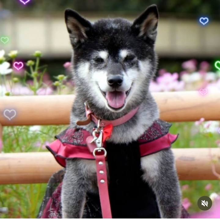 1a2047a8 62ab 467d 9a20 f27ba63a12b6 1764215713504