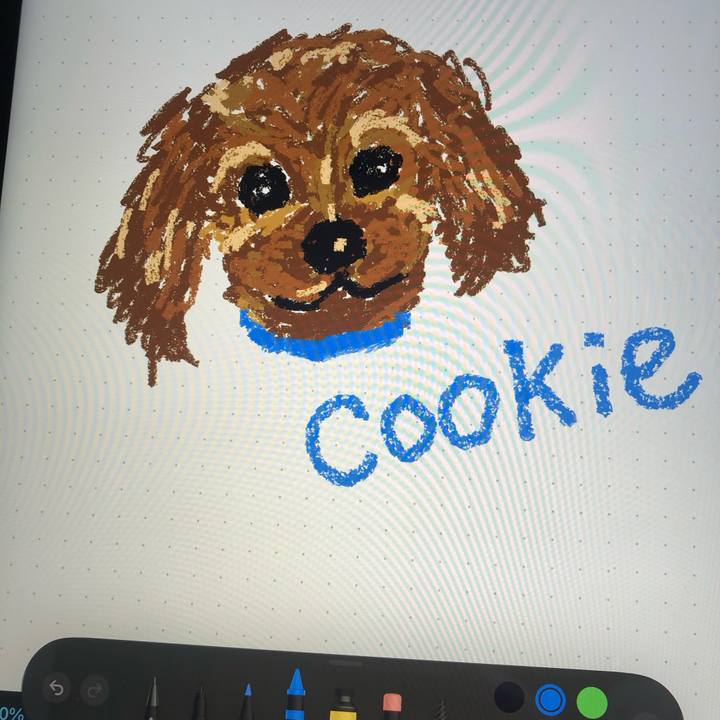 1a207db9 cf0f 4ea9 9ea8 39e5ef4b11a6 1677685833398