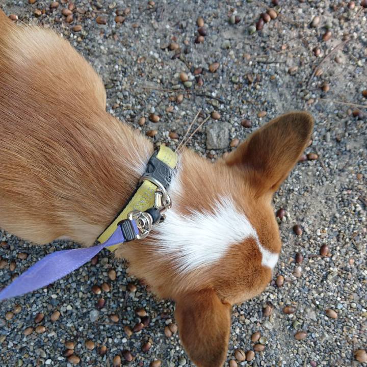 1a20979a f833 4c70 8145 a31ac2c39469 1575804934967