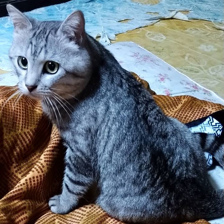 1a20bb2b 46d9 4436 992e 28c4fdccb6db 1584371655788