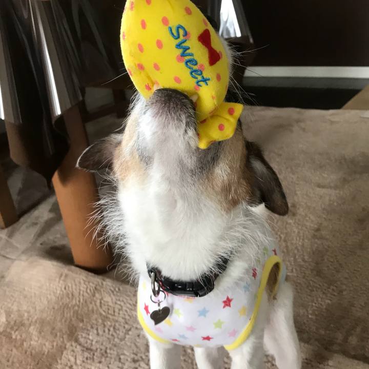 1a211cde 53ae 4615 b586 38f1458685e9 1532305507292