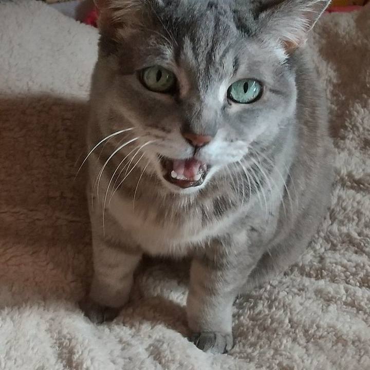 1a212854 5fa0 4211 8a88 60686608a252 1644980217953