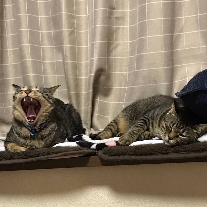 1a214442 cef2 454f 838f 746245fcd76e 1541512704027