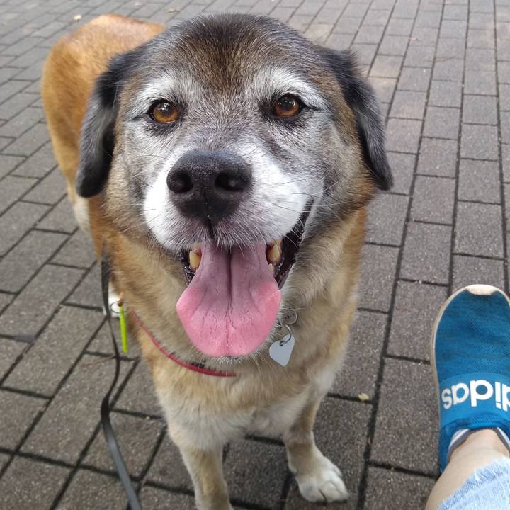 1a219d40 ec9b 468f 9744 9574e37c1cf2 1564358053479