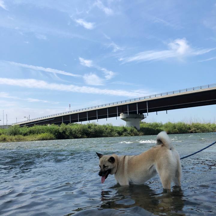 1a21a1f0 1dc3 4b9c bdcc fb6c4a88a848 1564299208197