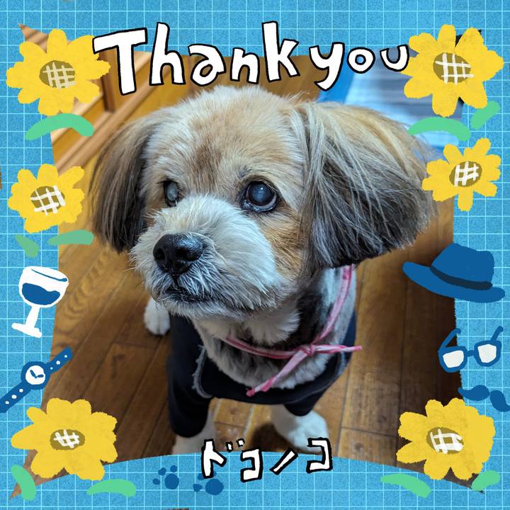 1a21a6b7 d24e 4868 94cd 4a714b86f1d6 1717938302855