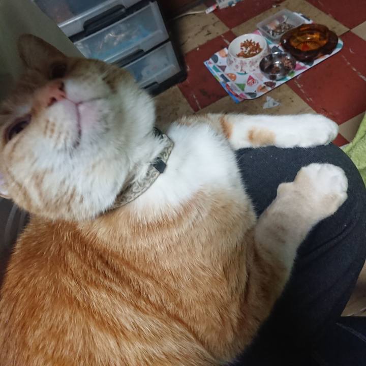 1a21bacf 2e6e 4678 9c38 4e090fecbf9f 1589360393520