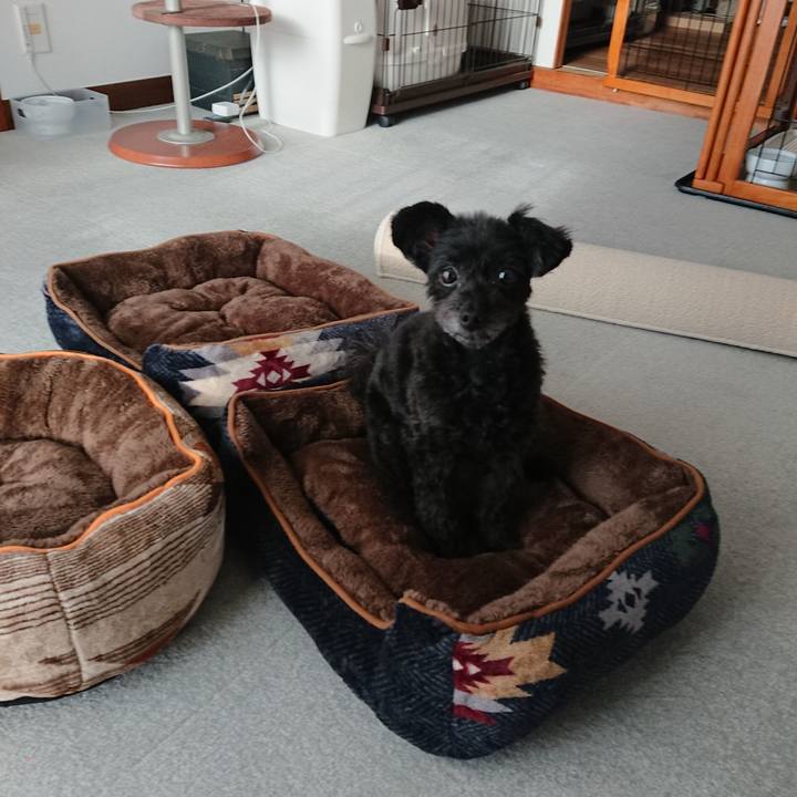 1a21cc1b a393 40e2 b33b aadd43b39119 1537600564488