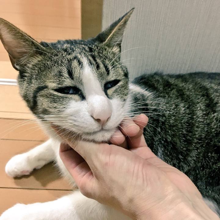 1a21e3c6 a4ba 4f61 beb1 d6ce0d56da7a 1540472660136