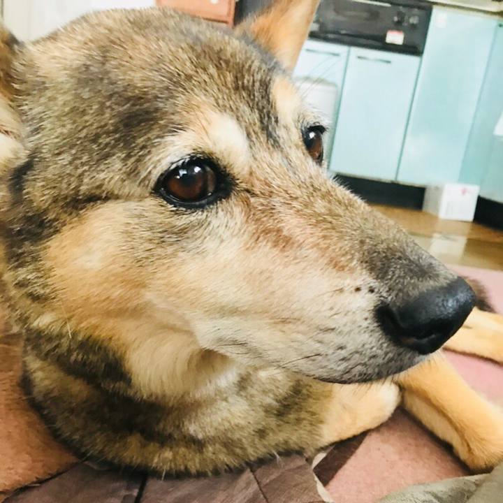 1a21e410 9407 4c05 8098 f34344abf5e0 1531814993637