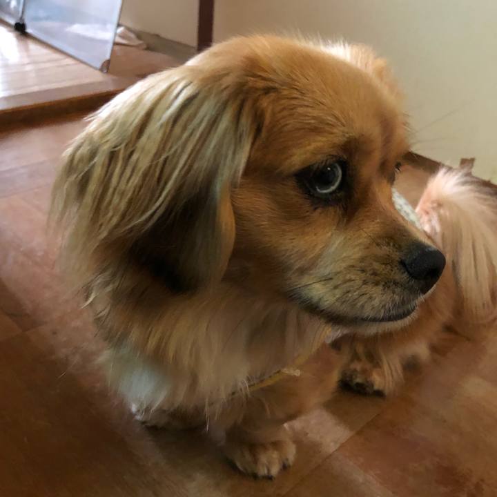 1a220dfa d3b6 4554 86f6 07d6af749b67 1520288699801