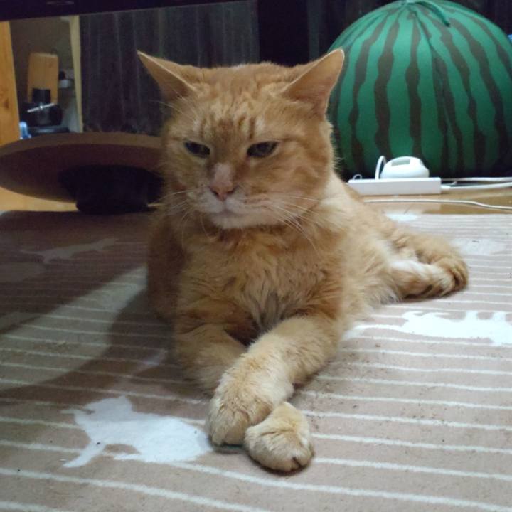 1a223209 b515 4d37 b175 6df31c9996a9 1698919433005