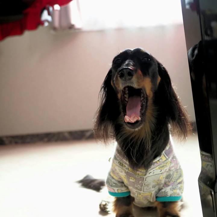 1a22350d 7fd6 450a b1bf 0c81be433bae 1560644054773